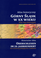 Lokalna okładka