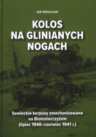 Lokalna okładka