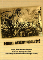 Lokalna okładka